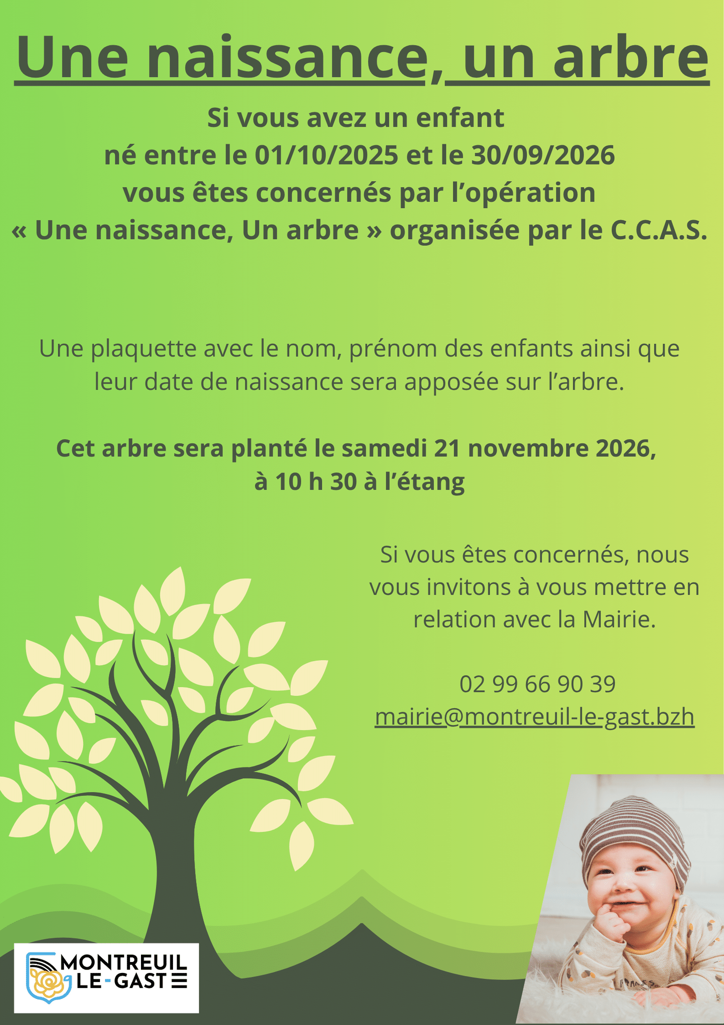 une naissance un arbre