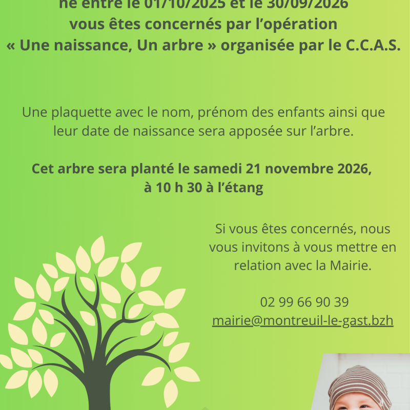 une naissance un arbre